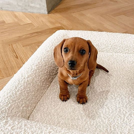 Rectangular bed Pet sofa Pet kennels