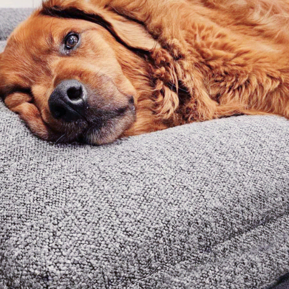 Rectangular bed Pet sofa Pet kennels