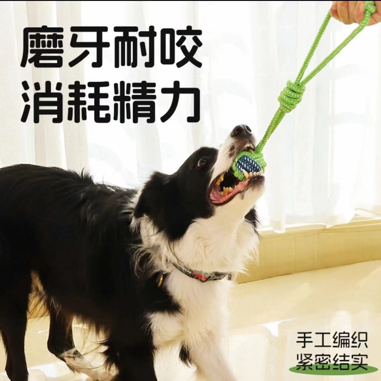 dog toy | chew rope strong and bite-resistant dog teething stick